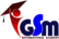 جي اس ام اكاديمي